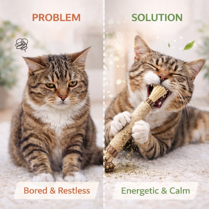 ChewCare™ for Cats - Advanced Dental Health & Fresh Breath Support