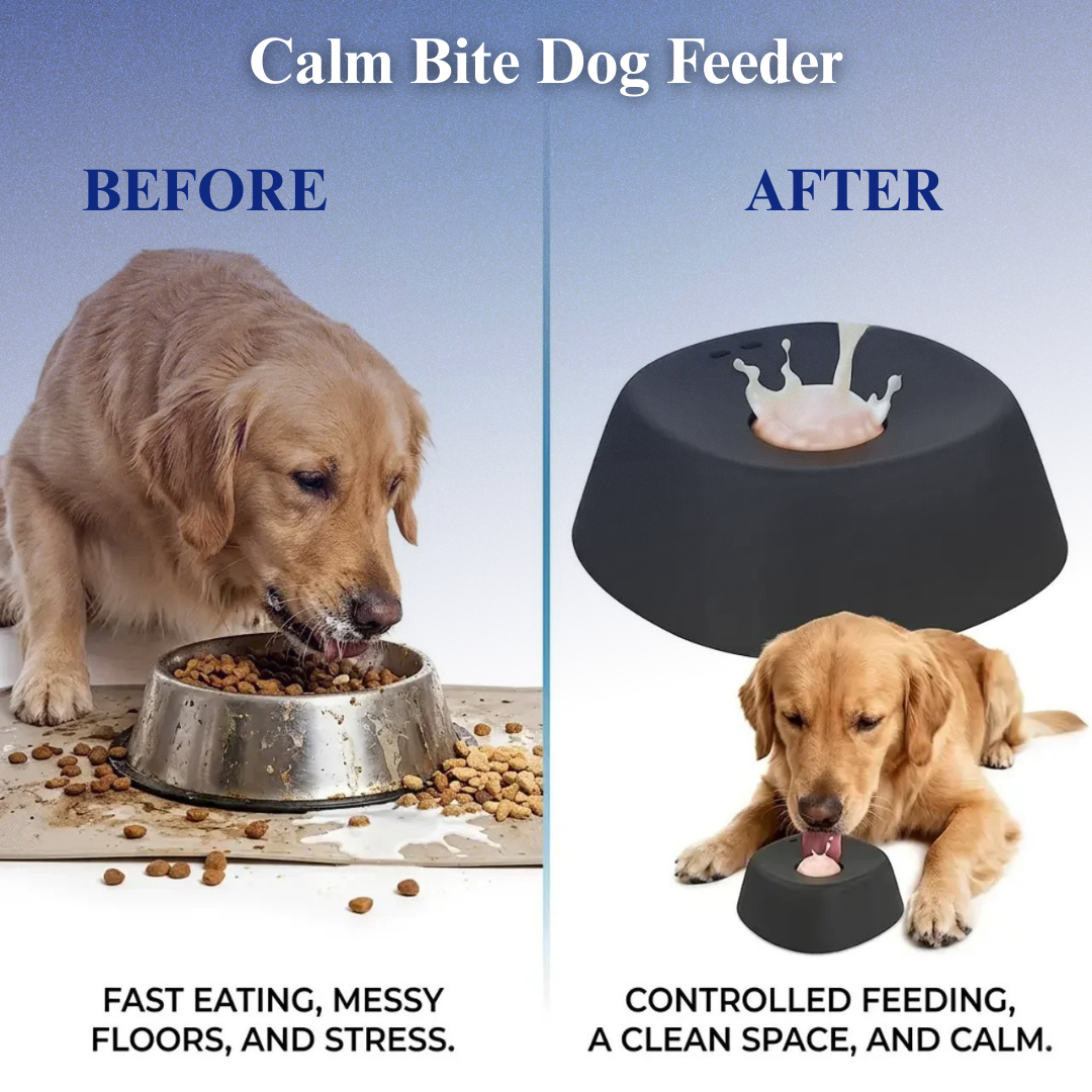 Calm Bite™ Slow Feeder Dog Bowl