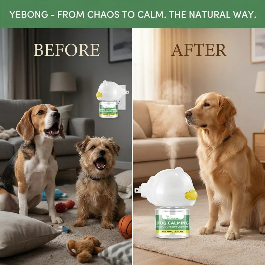 PheroCalm™ Dog Diffuser – Calming Pheromone Diffuser for Anxious Dogs