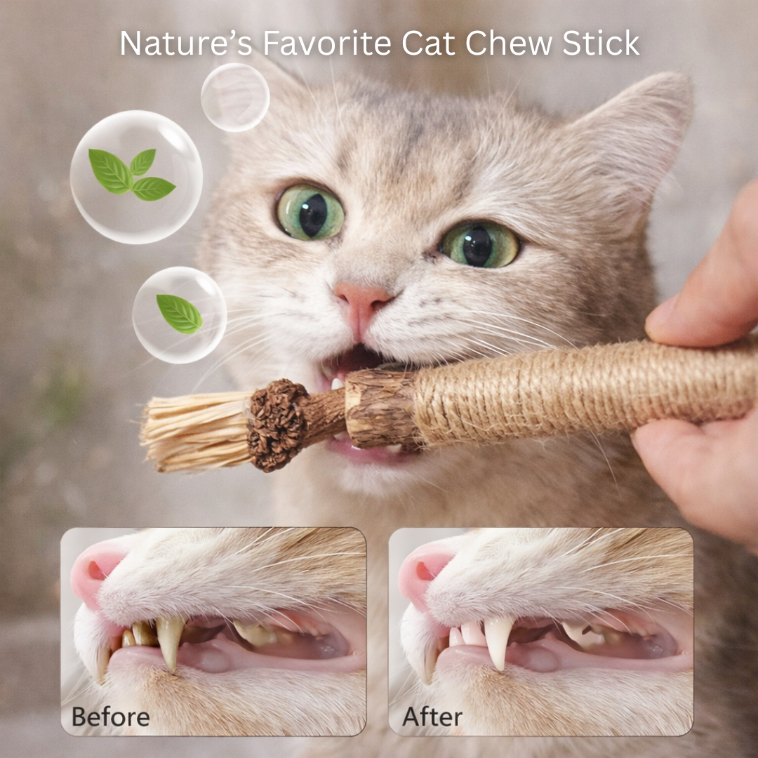 ChewCare™ for Cats - Advanced Dental Health & Fresh Breath Support