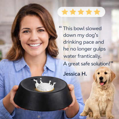 Calm Bite™ Slow Feeder Dog Bowl