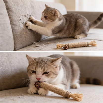 ChewCare™ for Cats - Advanced Dental Health & Fresh Breath Support