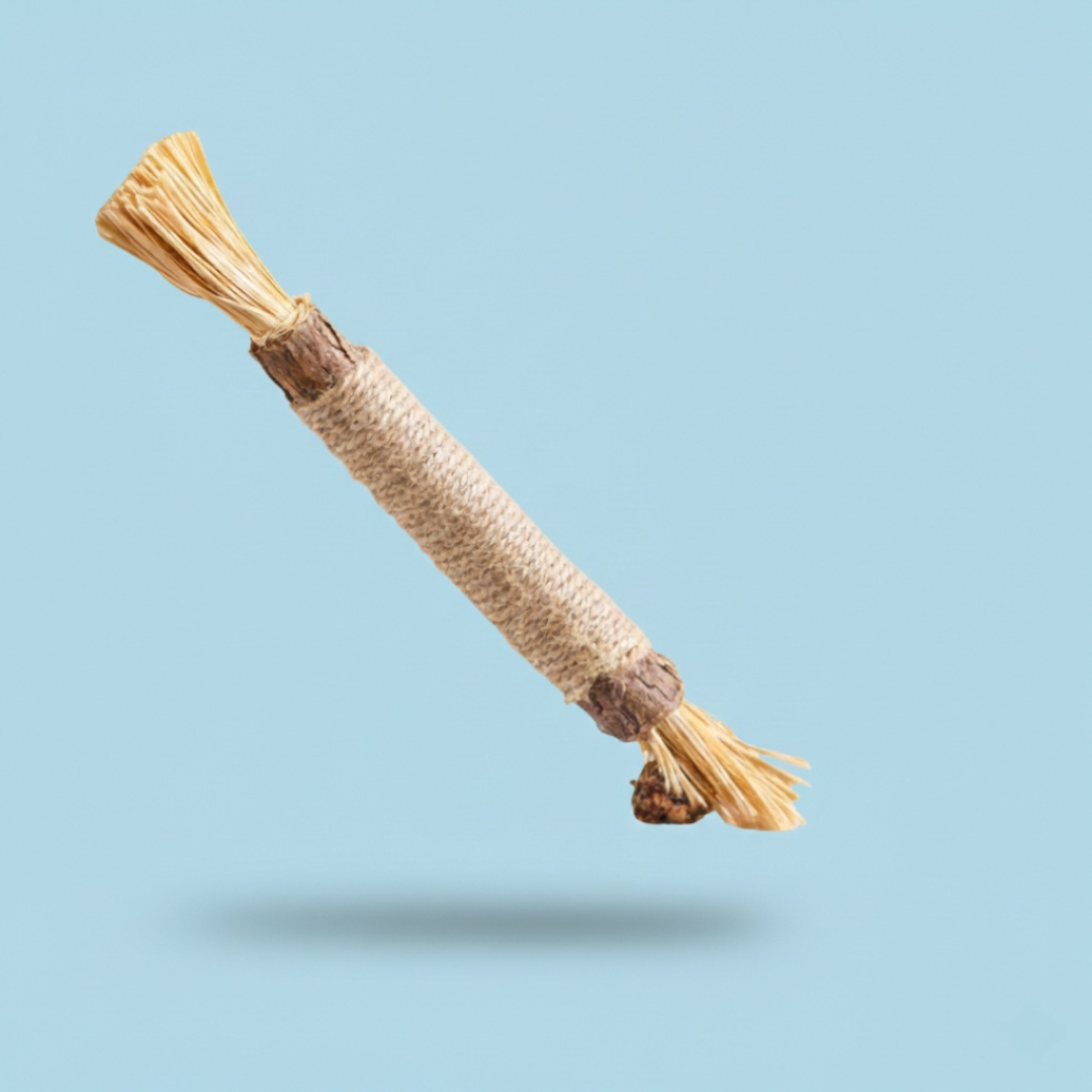 ChewCare™ for Cats - Advanced Dental Health & Fresh Breath Support