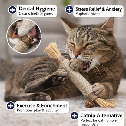 ChewCare™ for Cats - Advanced Dental Health & Fresh Breath Support